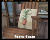*Beach Chair