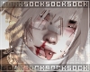 𝒔. addon 086
