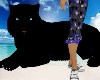 Black Panther Pet