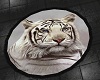 ~HD~white tiger rug