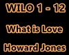 HOWARD JONES-WHAT IS LOV