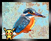 Kingfisher sticker