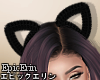 Black Fur Cat  Ears