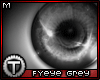 [T] FYeye| Grey 'm