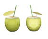Coconut Drinks