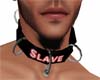 Slave Collar