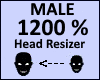Head Scaler 1200%