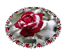 Winter Rose Round Rug