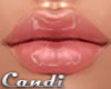 XANTARA Glossy Lips
