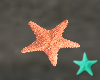 Isla Starfish Deco