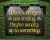 Framed Irish Saying