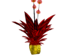 Exotic Plant red