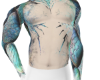 Opal Finder Chest Opal Finder Chest