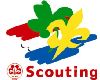 Scouting Nederland flag