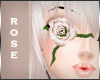 +Ms. Crystal+ Eye rose