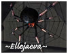 Halloween Creepy Spider
