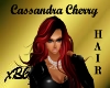 [B69]Cassandra CHERRY