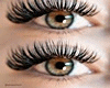 mink lashes