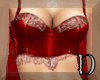 lingerie ~ red lace pvc
