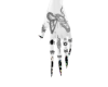 chrome Cow nails