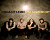 *Kings Of Leon "L.Someb"