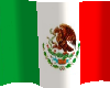 Bandera Ondeante Mexico