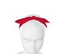Red Headband
