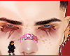Dooren brows