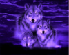 Purple Wolf Family