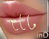 IN} Lux Gold Lip Prcg