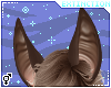 #beau: ears 5