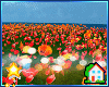 🏡 Gran's Tulip Field