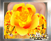 ADD-A-Bow flower Monarca
