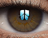 Eyes