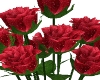 Red Roses/Vase