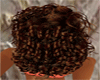 DORO RICHBROWN HAIR