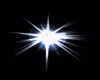 Northern Bright Star