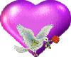 dove with rose and heart