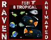 8 ANIM TROPICAL FISH!