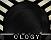 (O) Shojy Coal