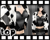 *KF* Cow Coat & Top