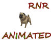 ~RnR~BUBBA THE PUG FV