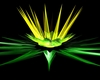 light etoile dj verte