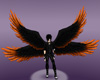 Orange/Black Wings
