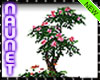 Arbol