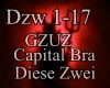 GZUZ Capital Bra