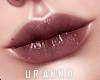 U. Rocket Lips I