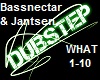 Bassnectar - What 1