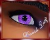 [DL] Purple Eye