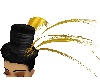 hat with gold feathers
